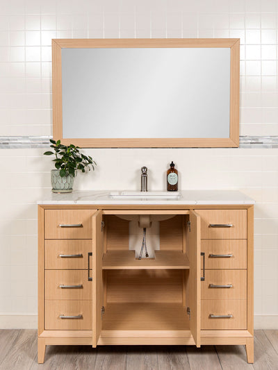 cupboard beneath the sink with a shelf and a cut out for plumbing